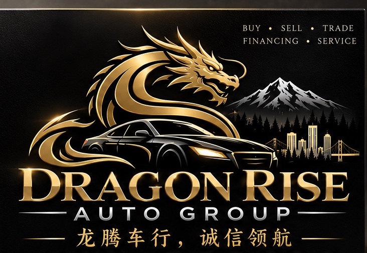 Dragon Rise Auto Group dragon logo and branding